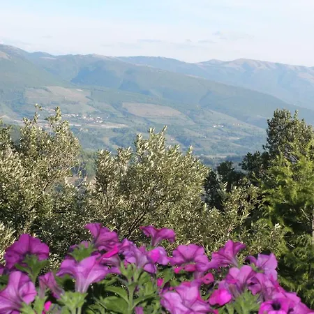 Villa Villasubasiorelax Spello